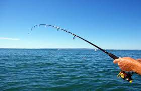 Buying Fishing Sunglasses - Solar Bat